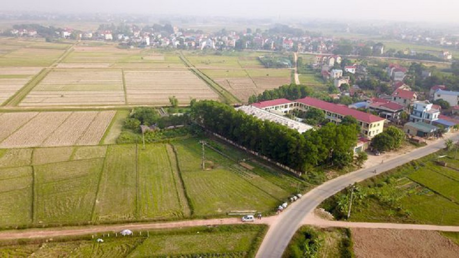 Hà Nội yêu cầu tạm dừng phân lô tách thửa đất nông nghiệp